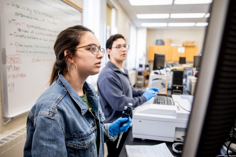 Two students paying attention intently in class