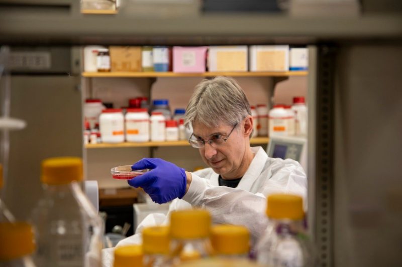 Virginia Tech Department of Biochemistry named 2021 University Exemplary Department