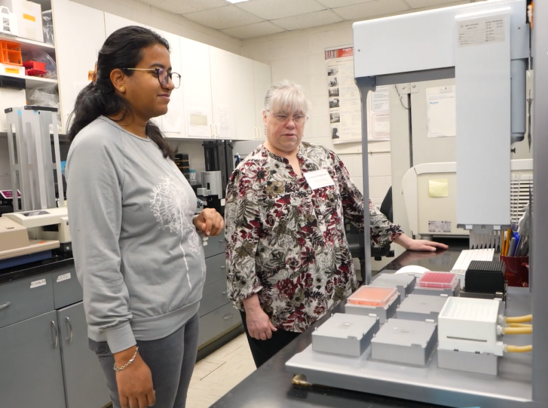 Research Personnel