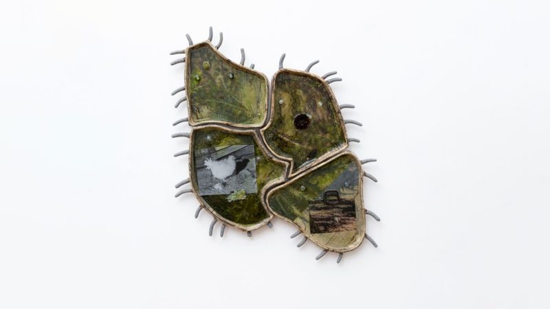  Erin Jane Nelson's "Little Armoured One," 2020. The work looks a bit like an amoeba with grey hair-like features around the uneven outside edge. The base of the work is created from four stoneware parts that fit together like a puzzle, glazed green. In the bottom left one is a black and white image of a chicken.
