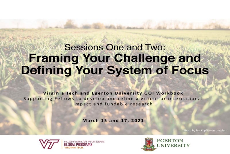 Framing Your Challenge and Defining Your System of Focus