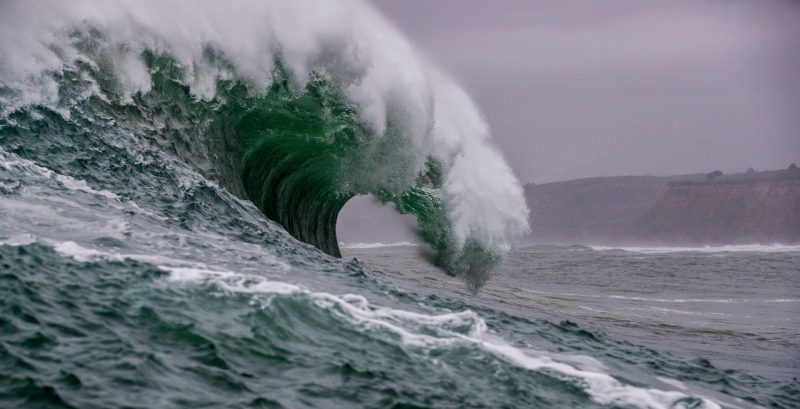 A new course teaches sustainability students how to manage risk, rationally 