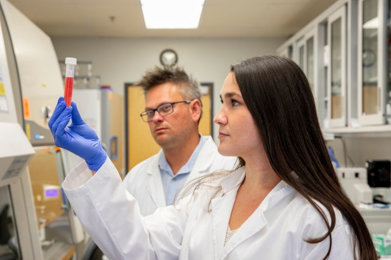 The National Institutes of Health awarded a College of Agriculture and Life Sciences researcher $2.7 million to understand how the cell-wall of the Lyme disease-causing pathogen makes people sick.