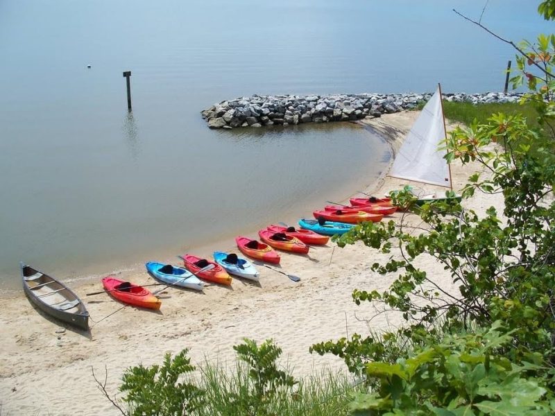 line of kayaks on the beach of a lake