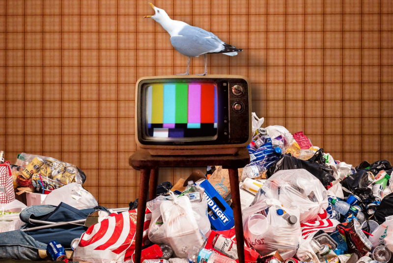 A seagull sits atop a TV with a bar color graphic. Beneath the TV are piles of garbage, including lots of used beer cans.