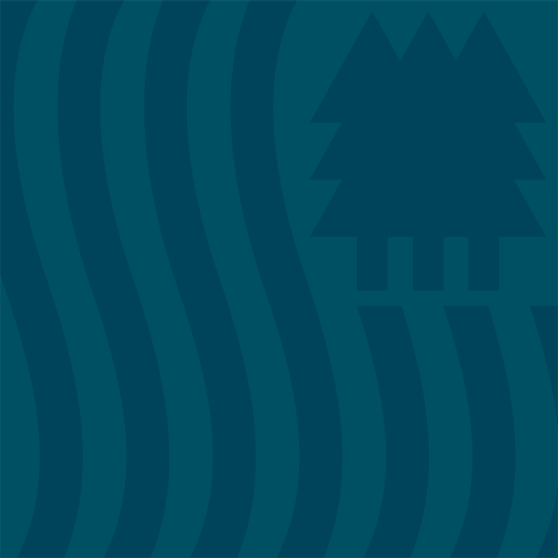 natural resources pattern