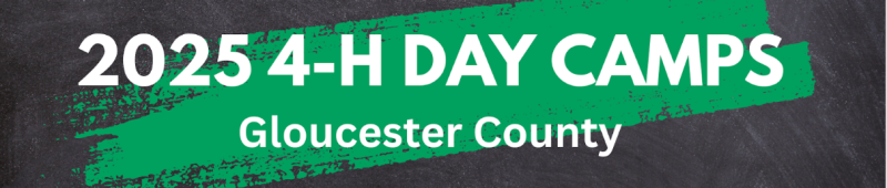 4-H Day Camp