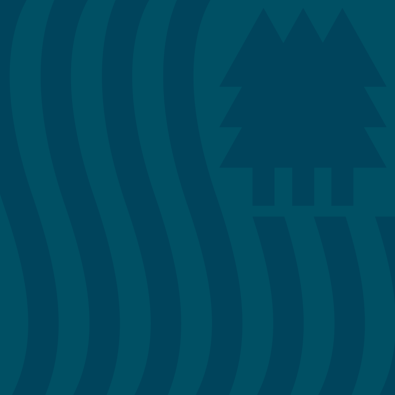 natural resources pattern
