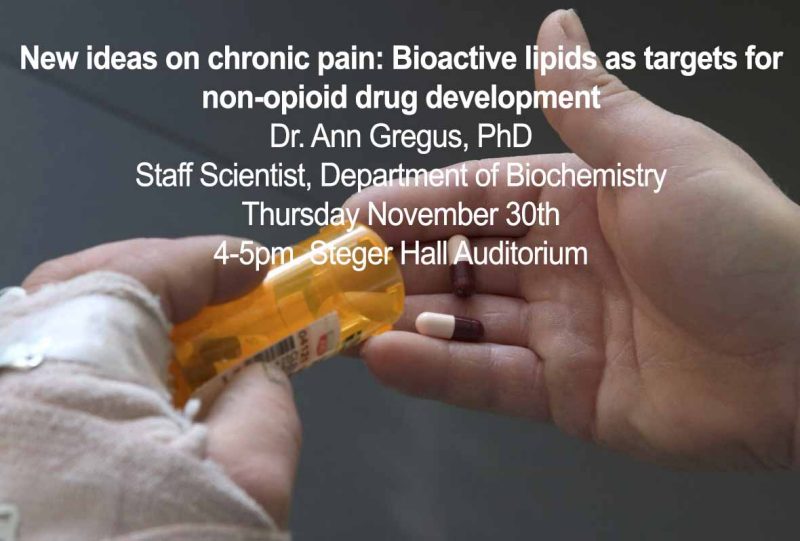 GBCB Seminar, Chronic pain