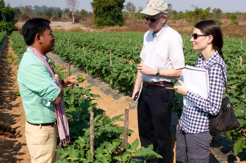 A Cambodian farmer talks with two researchers in a field.