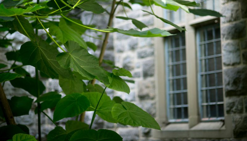 Depth of field image