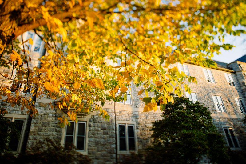Fall on campus