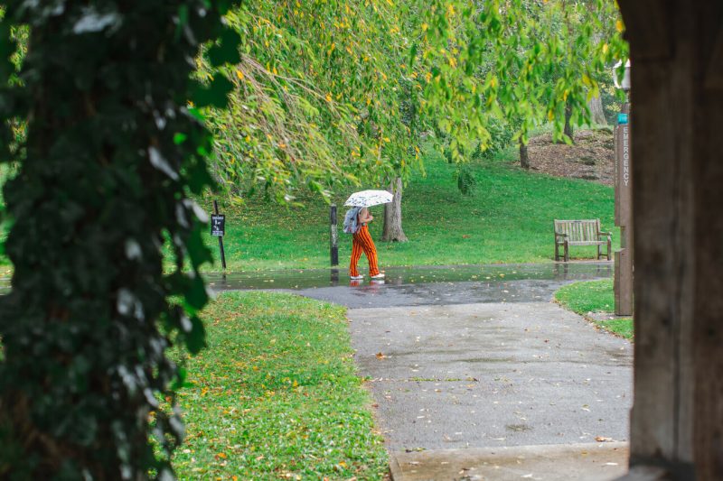 A person carries an umbrella on campus