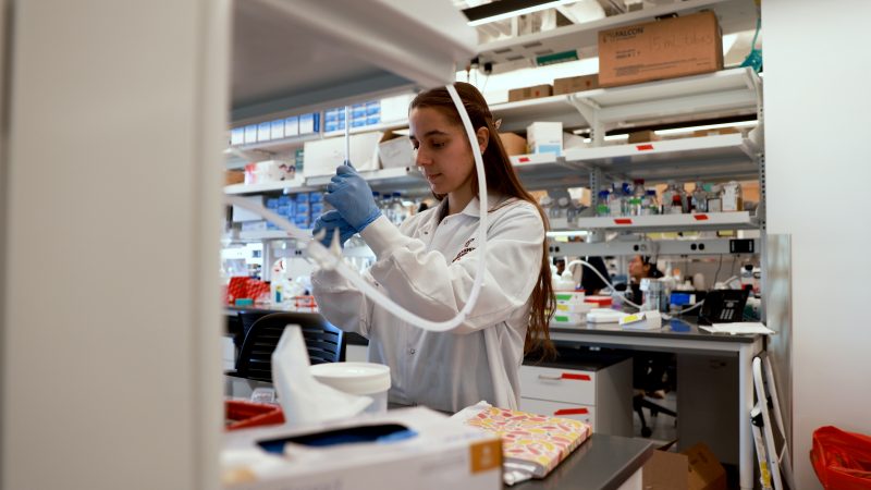 Mulvaney Lab