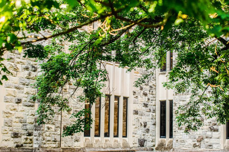 A building clad in Hokie Stone with a tree branch in front of it