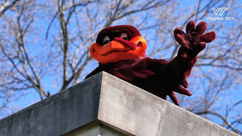 hokiebird waving