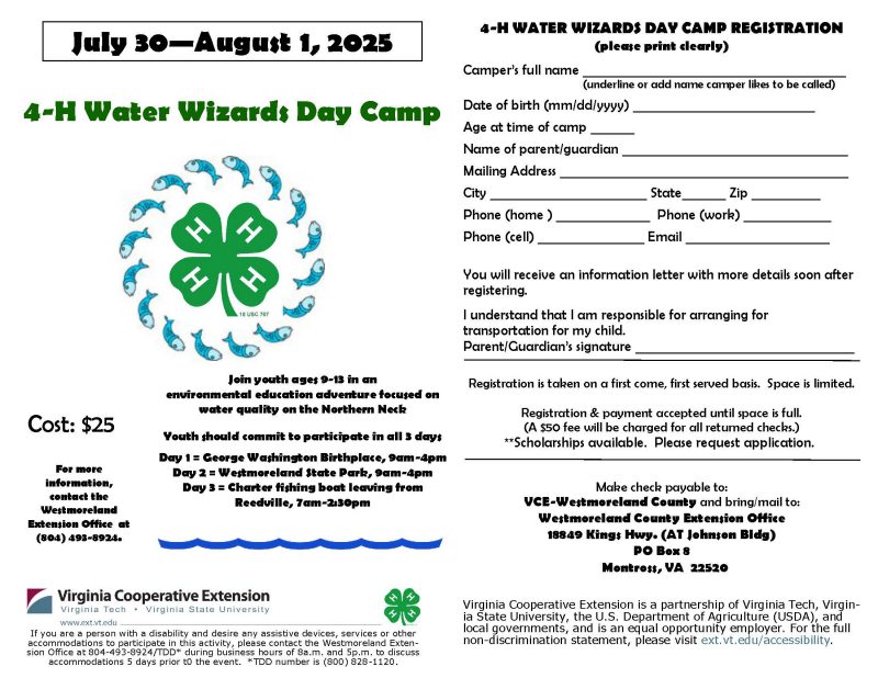 water wizards camp flyer